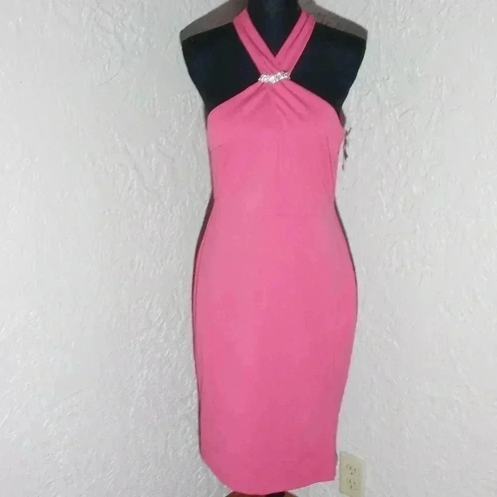 Women's Pink Embellished Sheath Dress